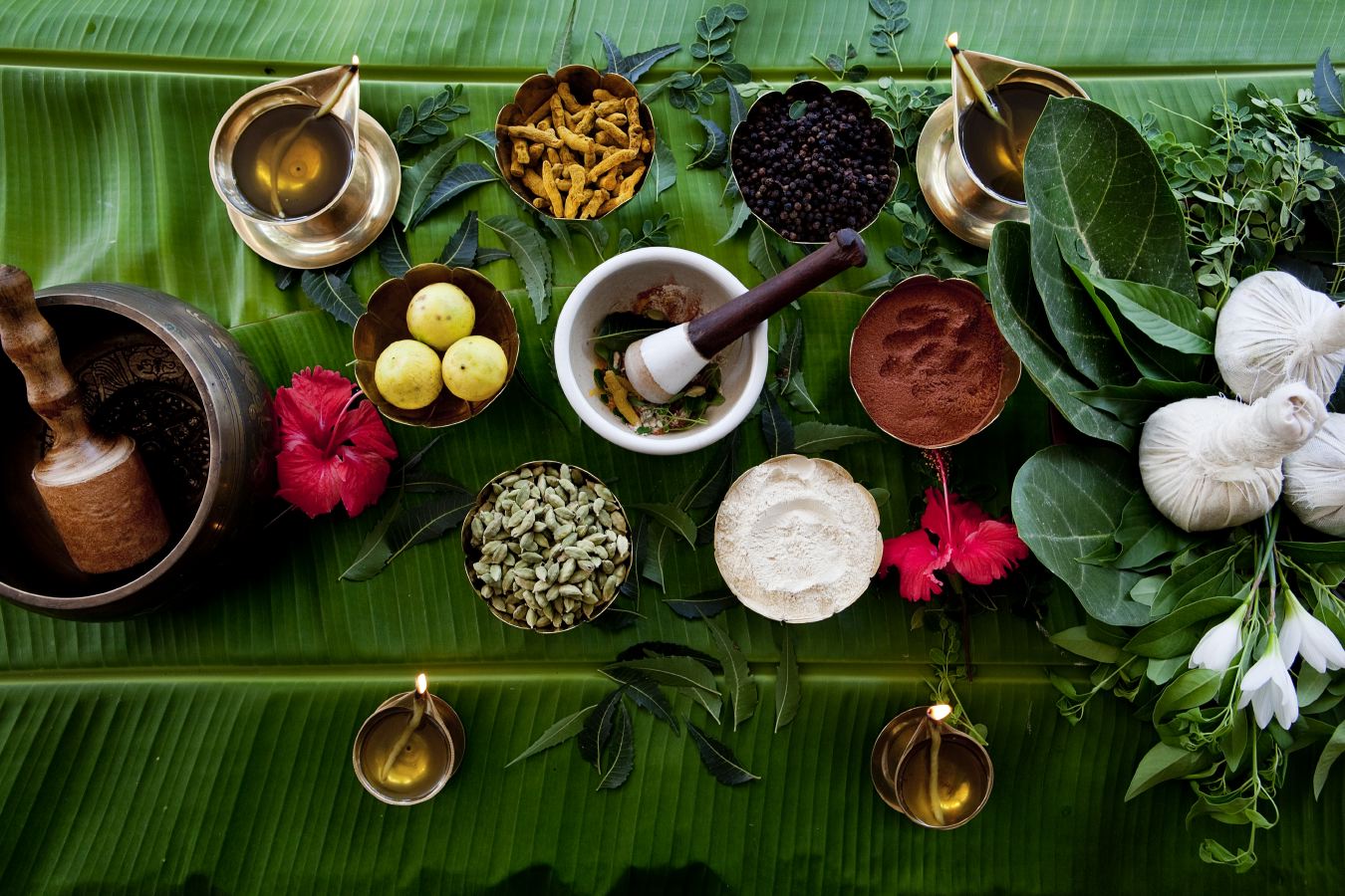 Ayurvedic Piles Treatment In Kerala Vinayaka Ayurveda Hospital